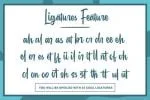 Ballones Script