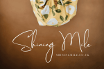 Balmonte Font