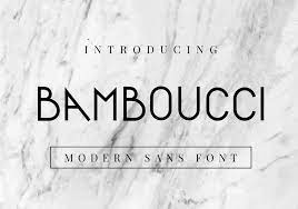 Bamboucci - Modern Sans Serif Font