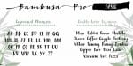 Bambusa Pro Font