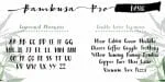 Bambusa Pro Font