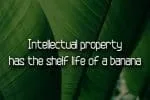 Banana Leaf Font