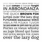 Banca Widiba Corporate Fonts