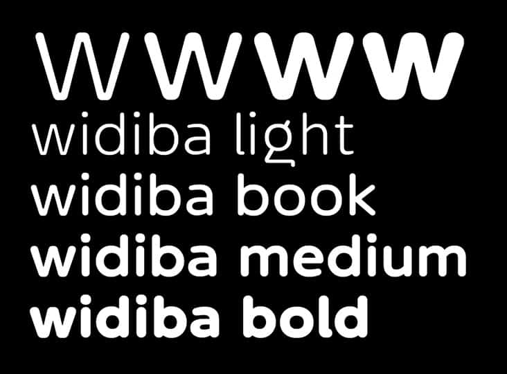 Banca Widiba Corporate fonts