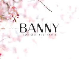 Banny Sans Serif Font Family Font