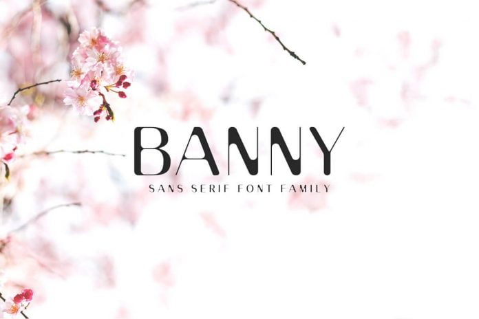 Banny Sans Serif Font Family Font