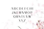 Banny Sans Serif Font Family Font