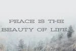 Banquo Font
