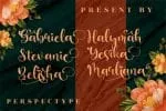 Barbara Lattvia Font