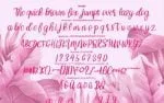 Barian Modern Scriptype Font