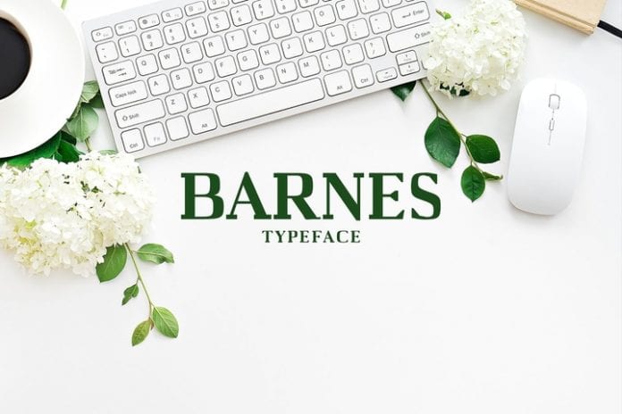 Barnes Font