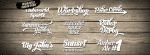 Barracuda Script Font