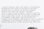 Barric A Serif Font Family Font