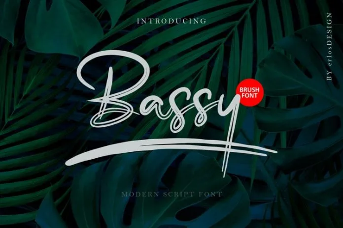 Bassy Font