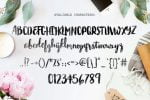 Bastina Hand Written Font