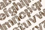 Batik Worldwide Font