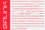 Baunk Typeface Font