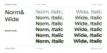 Bauziet Font Family