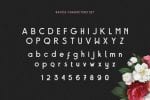 Baxoe Font
