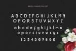 Baxoe Font