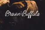 Beast Fantasia Font