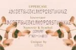 Beautiful Creature Font