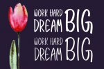 Beautiful Dreamer Font