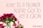 Beautiful Love Font