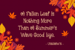 Beautiful Maples Font