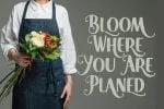Beauty Florist Font