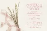 Beauty Life - Romantic Handwritten Script