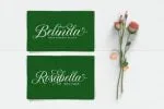 Beauty Queen Font