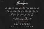 Beautyous Font