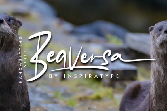 Beaversa - Handwritting Style Font