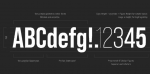 Bebas Neue Pro Font Family