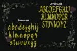 Bedeng Holis Font