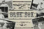 Bee’s Knees Font