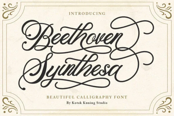 Beethoven Syinthesa