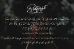 Belfast A Dry Brush Script