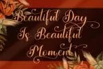 Belinda Heylove Font