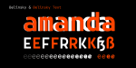 Belinsky Text Font Family