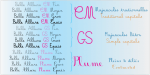 Belle Allure Font Family