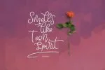 Bellinda Script Font