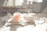 Bellissimo Font