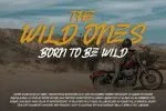 Belvana Brush Font