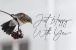Bendungan Signature Font