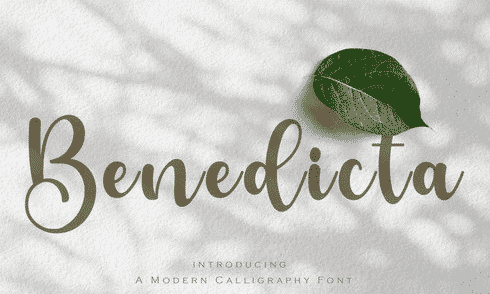 Benedicta- A Modern Calligraphy Font