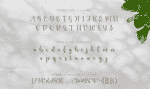Benedicta- A Modern Calligraphy Font