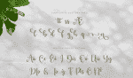 Benedicta- A Modern Calligraphy Font