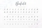Benfield - Script Font